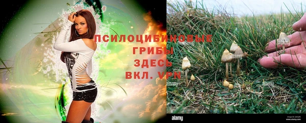 СК Белоозёрский