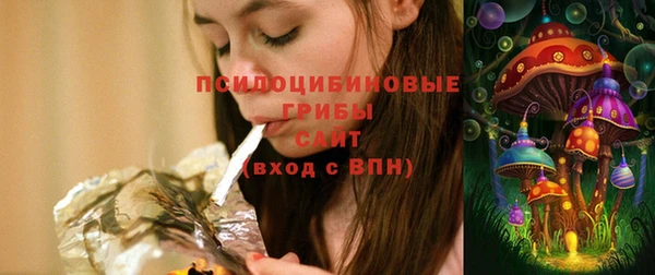 СК Белокуриха