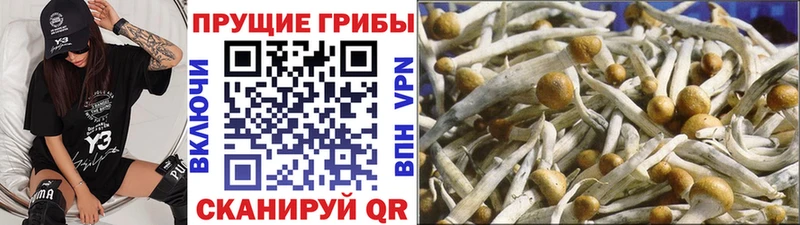 Галлюциногенные грибы ЛСД  нарко площадка формула  Ладушкин  наркота 